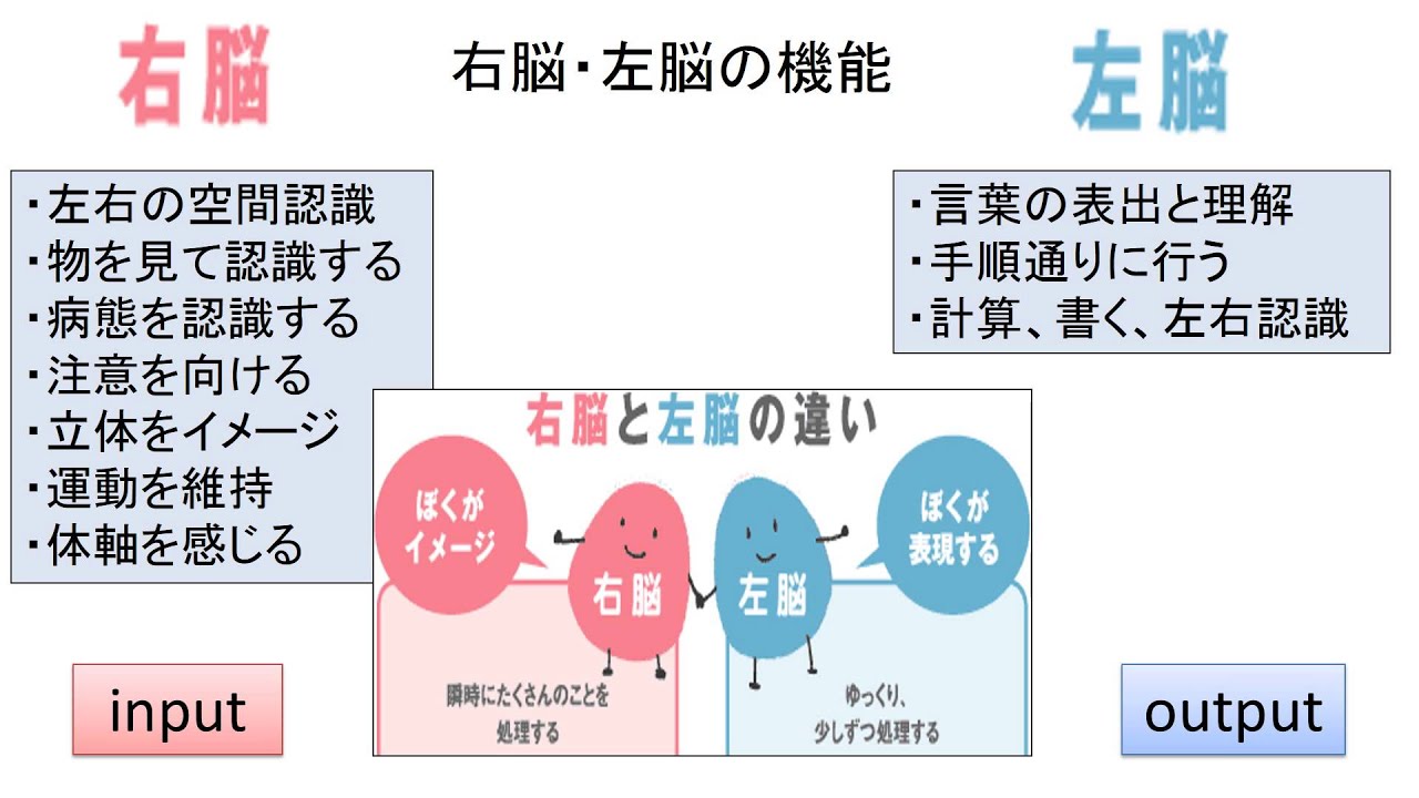 右脳to左脳の特徴を捉えると一目で何をすべきかわかる方法 Youtube