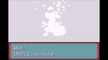 Pokémon Ruby GBA: Grovyle evolves into Sceptile