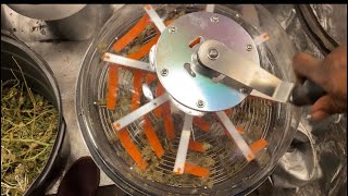 Outdoor grow 2023: Using a bowl trimmer on the small buds