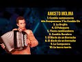 Aniceto molinayears standout music hitsleading hits playlistinterconnected