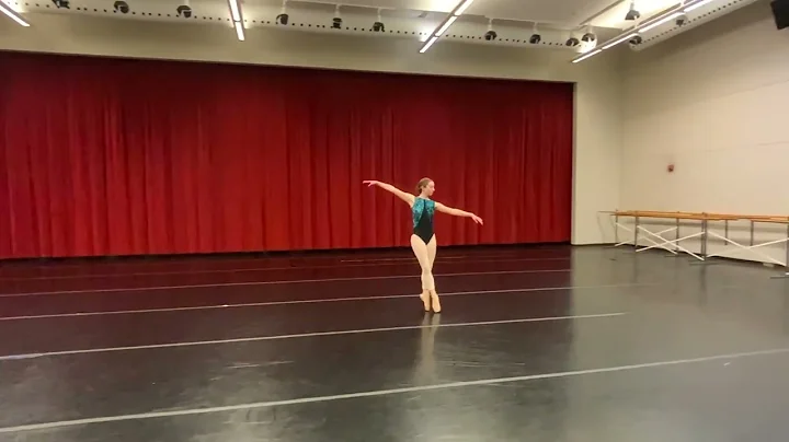Alice Anders Variation Dulcinea from Don Quixote