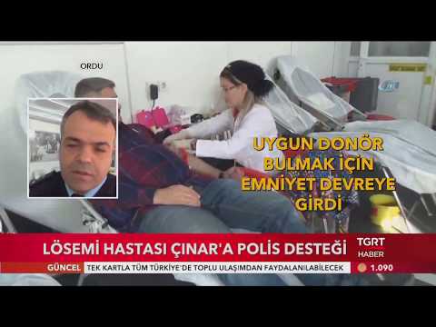 Lösemi Hastası Çınar'a Polis Desteği ! Ordu