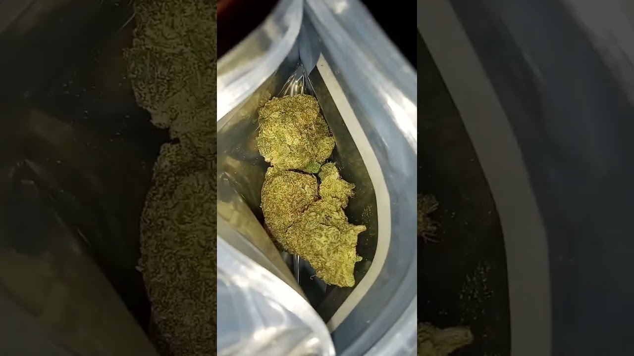 Citrus Cookie Kush Standard Wellness 