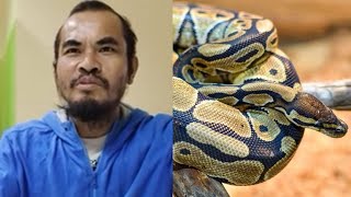 Man saved himself from python attack by biting it to death