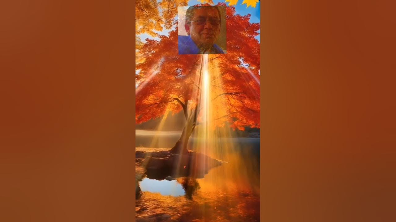 Ах, как хочется жить! Просто жить 💙 и любить!❤️