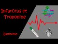 Infarctus et troponine