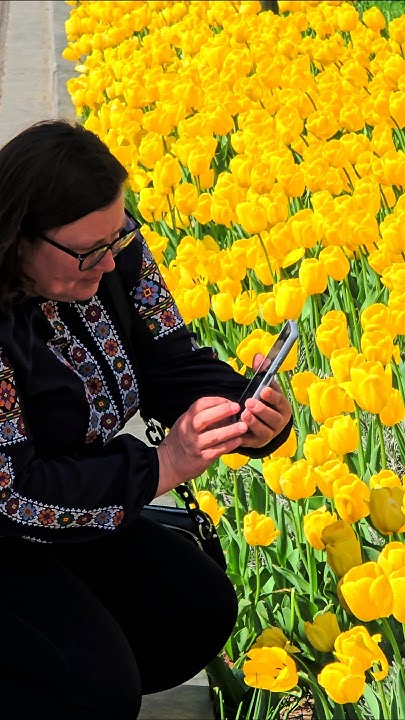 Резиденція миколая львів 2025