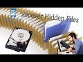 How To Recover Hidden Files