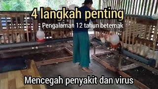 Download lagu 4 Langkah Penting Mencegah Penyakit Dan Virus Ayam Kampung