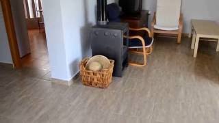 DSC 0264