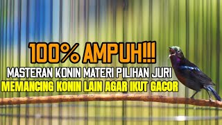 MASTERAN KONIN LOMBA FULL MATERI PILIHAN JURI 100% AMPUH COCOK BUAT PANCINGAN DAN MASTERAN
