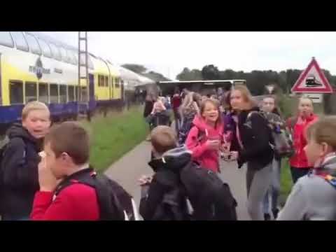 Train hits school bus