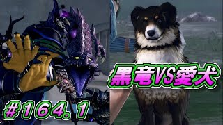 【DFFAC】#164.1(ゴルベーザ)　黒竜VSアンジェロ　ペット対決！