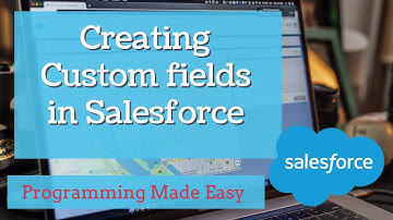 How to create custom fields in salesforce simplified | What are fields in salesforce