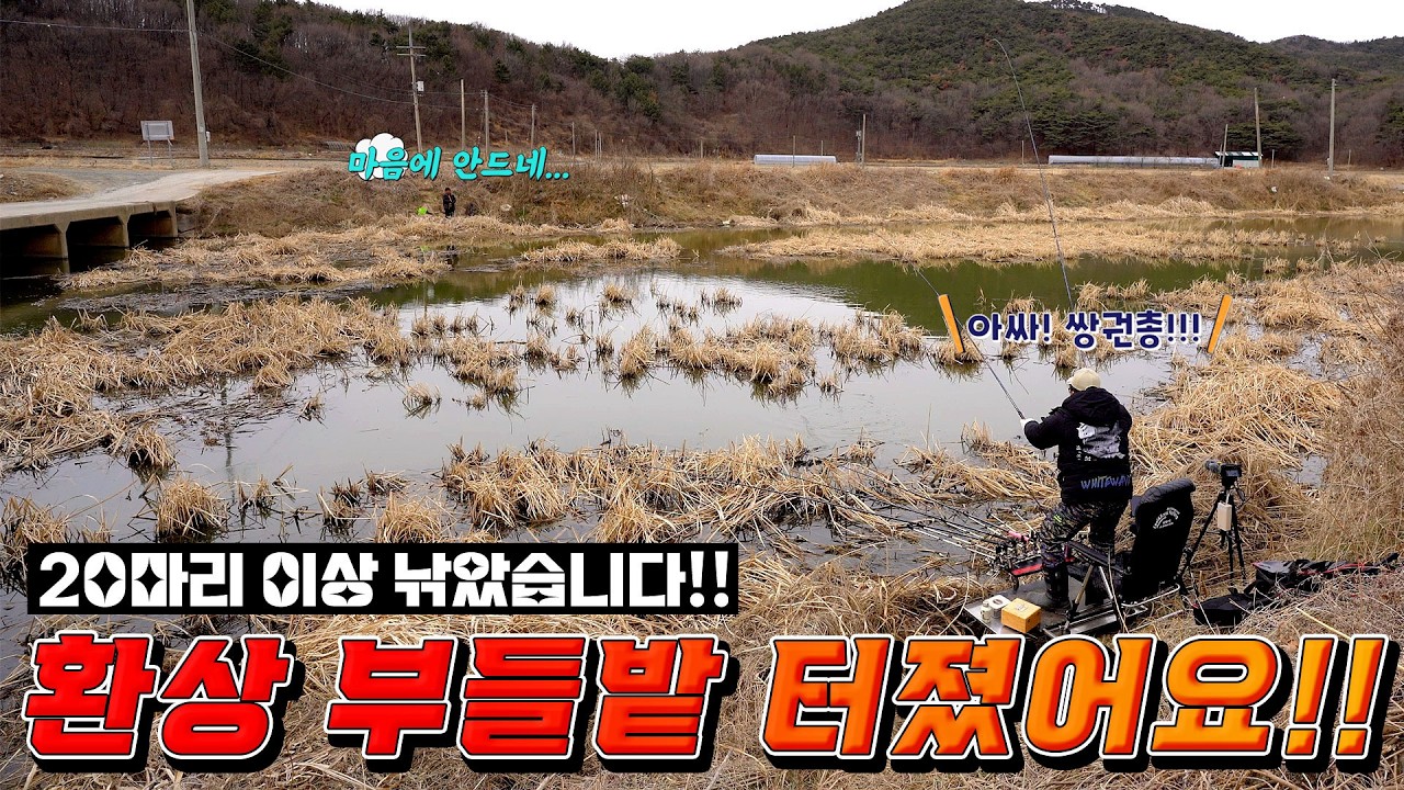 미친 부들과 갈대속에서 알자리 찾는 붕어들!! 붕어 산란장이 여기구나!! 짬낚에 20마리 접수!! 낚시꾼이라면 절대 못지나치는 포인트!! 김제에서 보령까지 전북과 충남을 접수!!