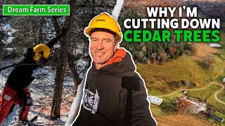 Why I'm Clearing Cedar Trees | Dream Farm w/ Bill Winke