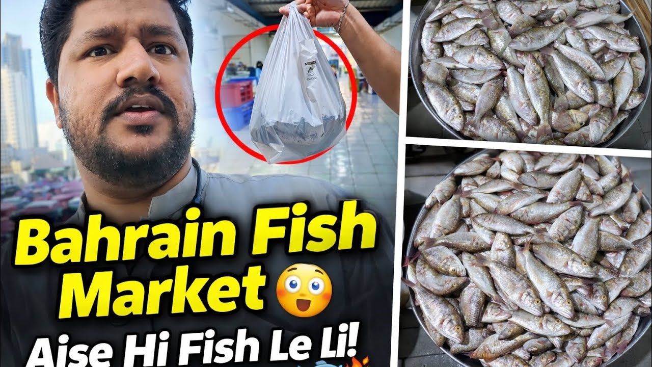 Bahrain fish market gay fresh fish le li 