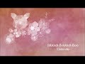 ビビディ・バビディ・ブー 美しく響くピアノソロ ディズニープリンセス 初級 シンデレラ Bibbidi Bobbidi Boo Disney Cinderella Piano