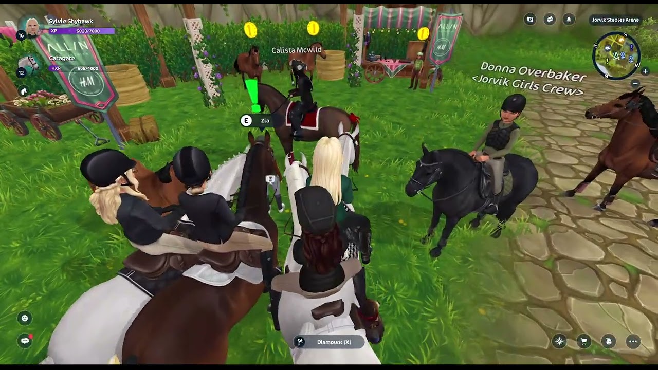 Grand Prix Show jumping on Catalina