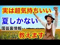 【最新裏情報】2021年7月の園芸裏情報解禁します【カーメン君】【園芸】【ガーデニング】【初心者】