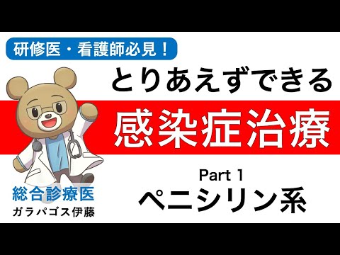 【とりあえずできる！感染症治療！】〈Part1〉ペニシリン系抗生剤の使い方　研修医・看護師・薬剤師向け