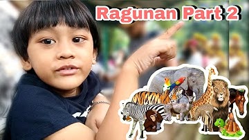 Ragunan Kebun Binatang Terbaru 2022 ~ RayZyo Belajar Mengenal Hewan ~ Part 2