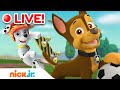 🔴 LIVE: PAW Patrol Summer Sports Rescues & Adventures! 🏀 w/ Chase & Marshall | Nick Jr. image