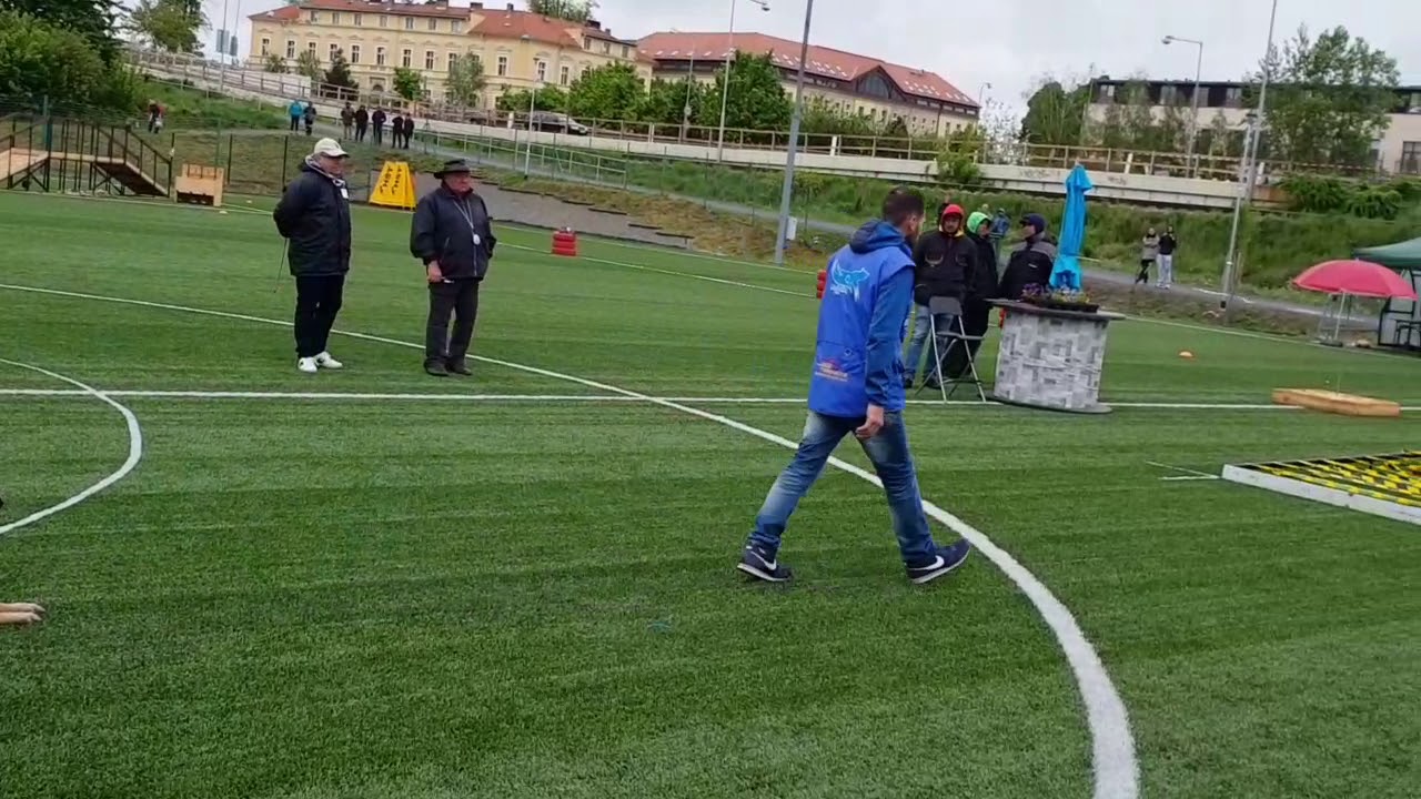 F.m.b.b world Championship mondioring cat 3 , 3 place