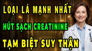 Người Bệnh Thận 8 Loại Lá Hút Sạch Creatinin Trong Máu – Thận Tự Phục Hồi Không Cần Thuốc
