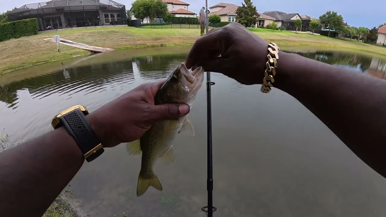 I MISSED A BIG BASS AT THE NO TRESPASSING POND TODAY!!!