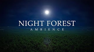 Night Forest Ambience with Crickets, Owls, Wind in Trees | Nature Sleep Sounds | 10 Hours by Relaxing Music & Sounds 72 views 2 years ago 10 hours