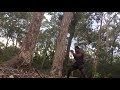 Training (Punch on Tree)