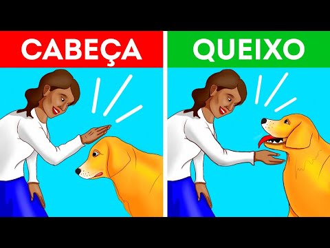 Vídeo: O que você deve saber sobre acariciar um cão