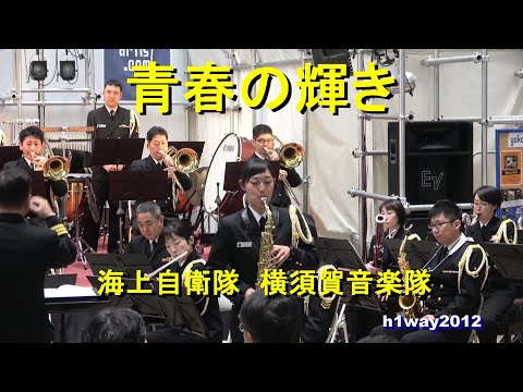 Live on Maritime 自衛隊観艦式と海上自衛隊音楽隊演奏会 [DVD
