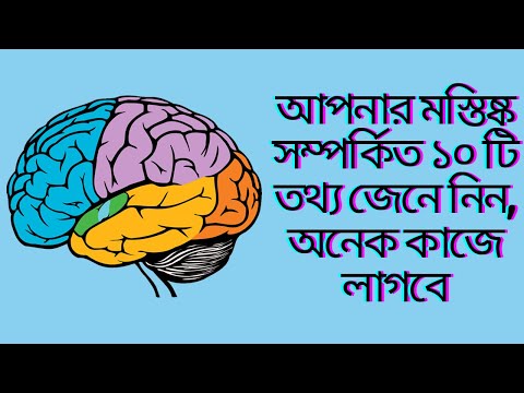 মস্তিষ্ক সম্পর্কিত 10 টি তথ্য আপনি যে কোন কিছুই করতে সক্ষম তা প্রমাণ করে | QUICK FacTs