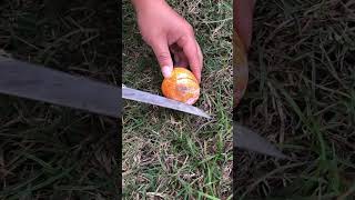 Ht 46194 mini rotary tillage and ridging all-in one tree 🌲short view #subscribe #shorts