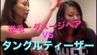 タングルティーザーを友達に勧めてみた recommend tangle teezer to friend