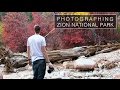 Landscape Photography in Zion | My First Visit