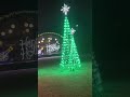 Beautiful night with my family Surrounded by Christmas lights, feeling blessed||Roseline E. kamara