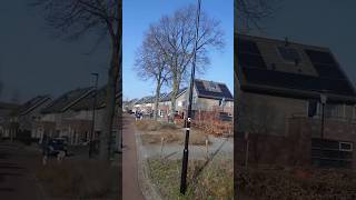 Тропарь святому Мартирию Зеленецкому, March 14, 2026