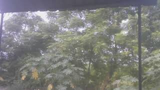 WIN 20260917 07 36 21 Pro