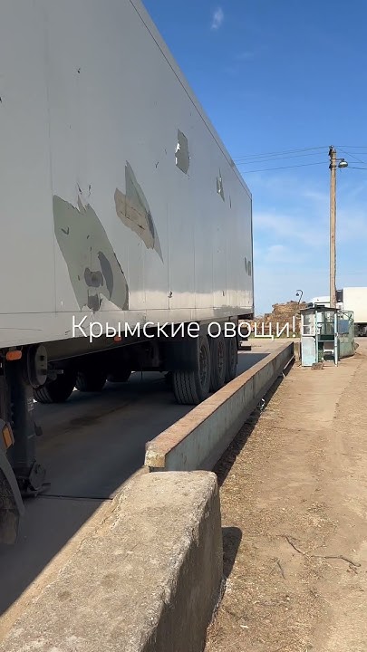 Куплю картофель молодой в Крыму! Морковь свёкла капуста лук! #опт # ...