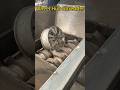 Wheel Hub Shredder #Metal Shredder #Twin-Shaft Shredder #Shredder Manufacturer