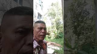 Download Lagu jangan salah menilai ( Tangor Pangaribuan) MP3 Download Lagu jangan salah menilai ( Tangor Pangaribuan) MP3