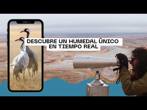 🔴 WEBCAM: Naturaleza en vivo en la Laguna de El Hito