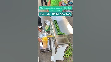 Máy ép chanh tắc công nghiệp Tấn Phát -trục 600mm -máy vắt quất số lượng lớn không bể hạt 0976866766