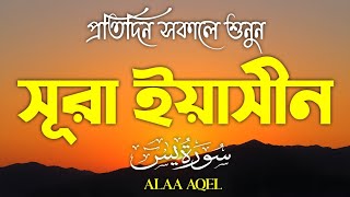 Download lagu প্রতিদিন সকালে শুনুন-প্রশান্তিময় কন্ঠে সূরা ইয়াসীন|(سورة يس) SURAH YASIN | Morning Quran Recitation