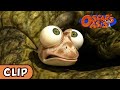 Oscar's Oasis - Croc Food Hunt | HQ | Funny Cartoons