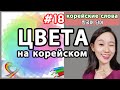 Цвета на корейском языке. Корейские слова по темам.