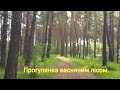 A WAlk ThrOugh ThE SprIng KhlivchAnsky FOrEst ПрОгулЯнкА вЕснЯнИм ХлІвчАнськИм лІсОм